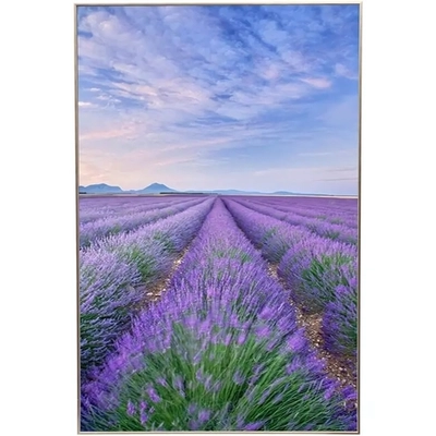 Картина интерьерная в раме «ЛАТЕГО», лаванда, 19*29см (термоусадочная пленка)