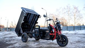 Грузовой электрический трицикл WHITE SIBERIA SIBTRIKE PRO CARGO 2000W (60V/36Ah) - версия 2025 года фото №19