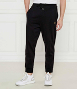 Спортивные штаны Hadiko TL BOSS GREEN - черный(50543434)