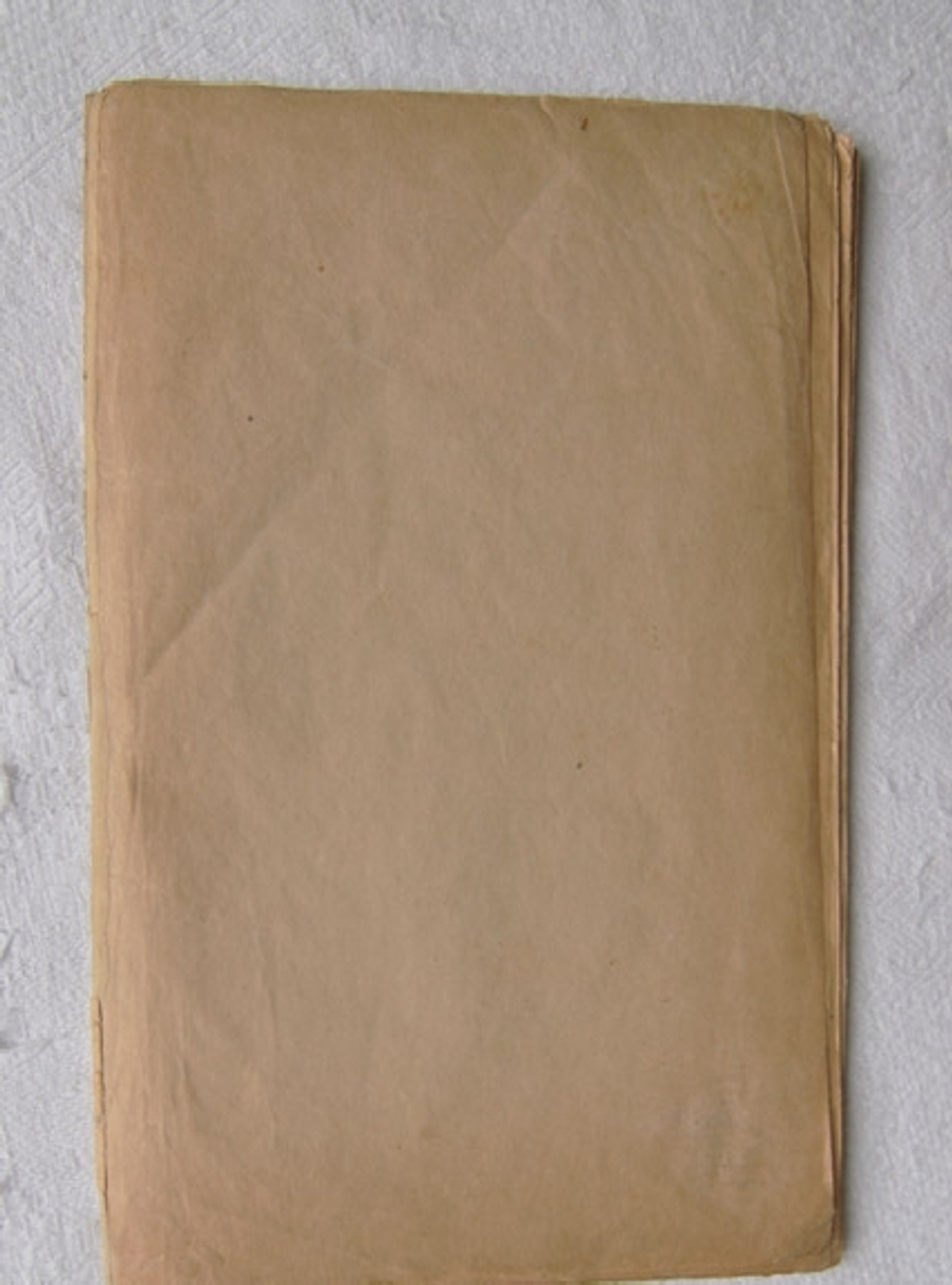 "Лошадь как лошадь". Имажинист Вадим Шершеневич. 1920г.