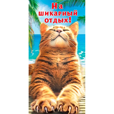 Конверт для денег На шикарный отдых 7.0000443