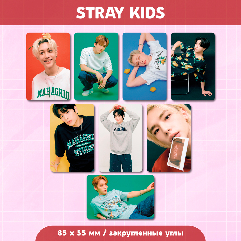 Сет карточек / STRAY KIDS #231