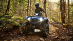Квадроцикл YAMAHA YFM700 Grizzly (2023) (ПСМ)