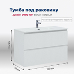 Тумба с раковиной Aquanet Джейн (Flat) 335426/254365 100 белый матовый