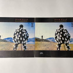 Винтажная виниловая пластинка LP Pink Floyd Delicate Sound Of Thunder (СССР 1990) Рижский Завод