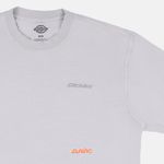  Футболка мужская Dickies Plentywood артикул:DK0A866BD061 - купить в магазине Дайс