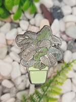 Значок Калатея