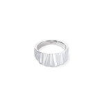 Кольцо Coeur de Lion Silver 0141/40-1700 56