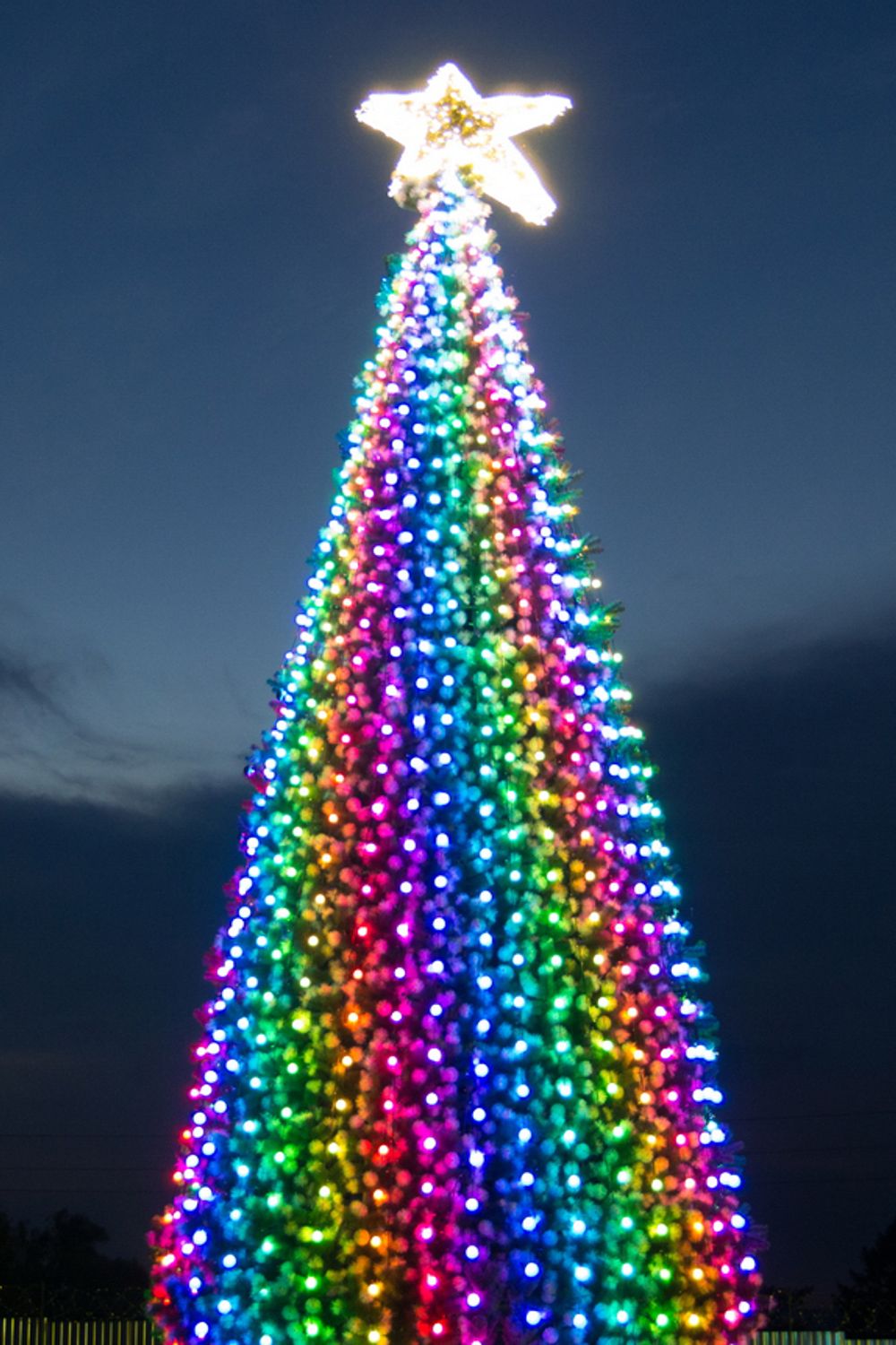 Умная уличная гирлянда «3D» на елку от 4 до 30 м