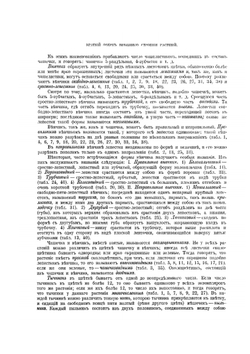 Среди цветов | С.А. Порецкий; Н. А. Рубакин