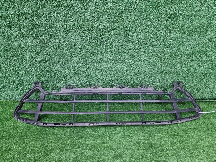 Решетка переднего бампера BMW X1 F48 (2019-2022)