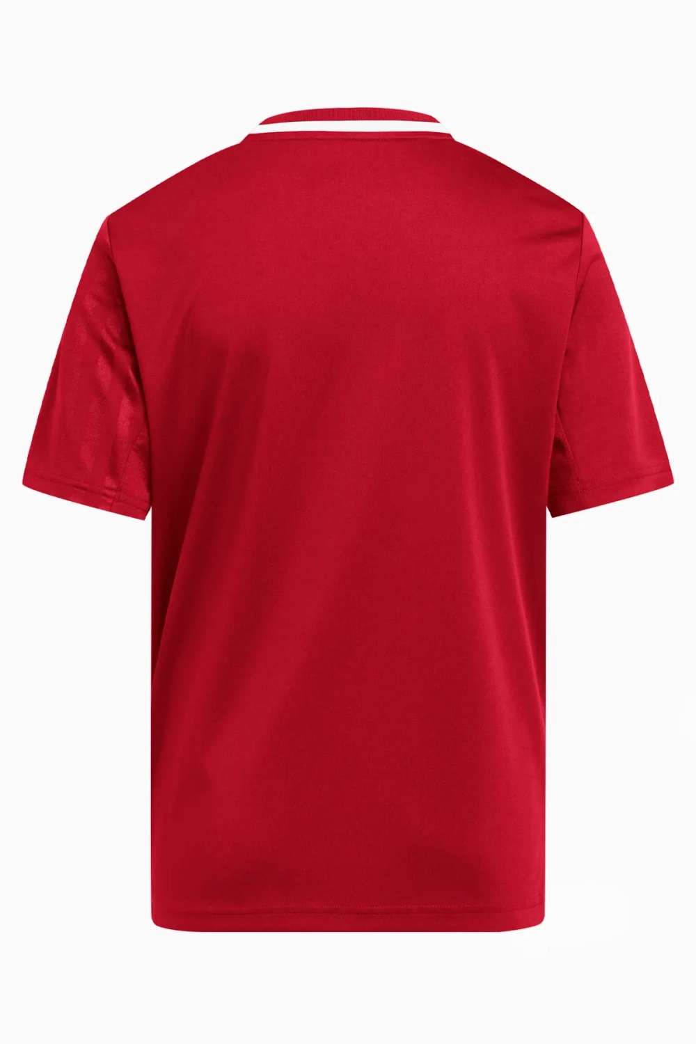 Футболка adidas Campeon 25 Junior - красный