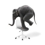 Компьютерное кресло Woodville Zarius gray, white