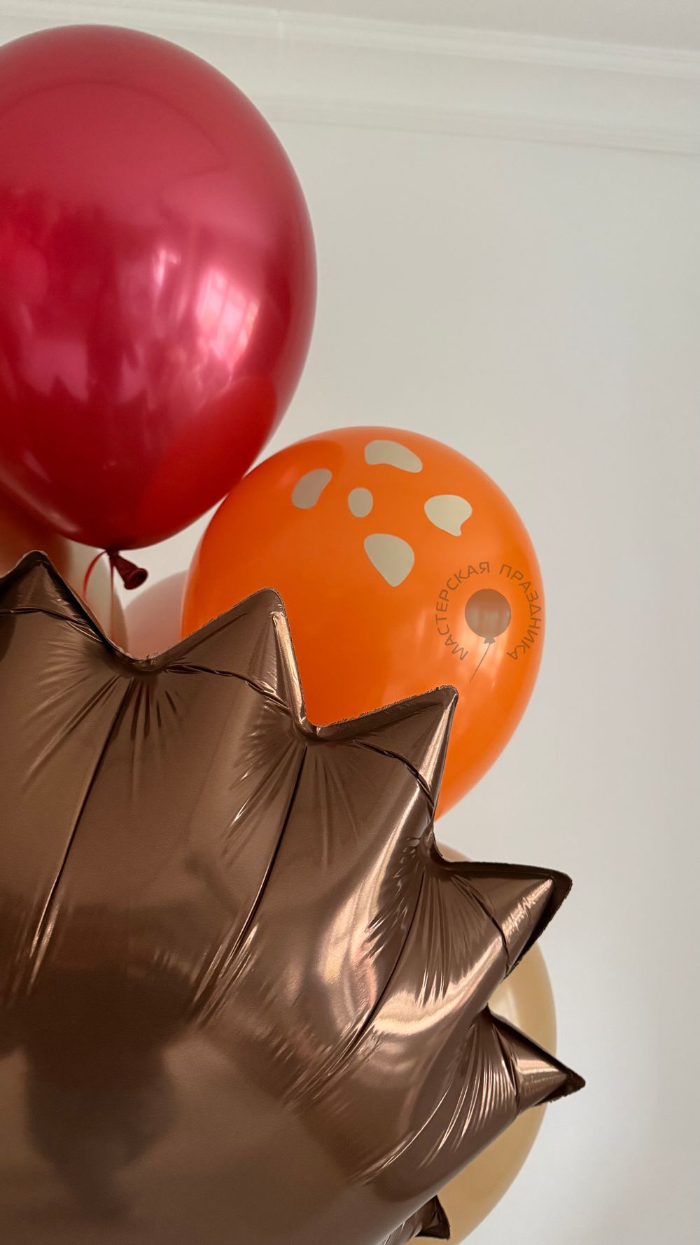 Воздушные шары для девочки №8854  Изображение6