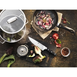 Zwilling Нож Chef's Pro 20 см EAN 4009839257148