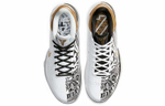 Кроссовки Nike Zoom Kobe 5 Protro "Big Stage"