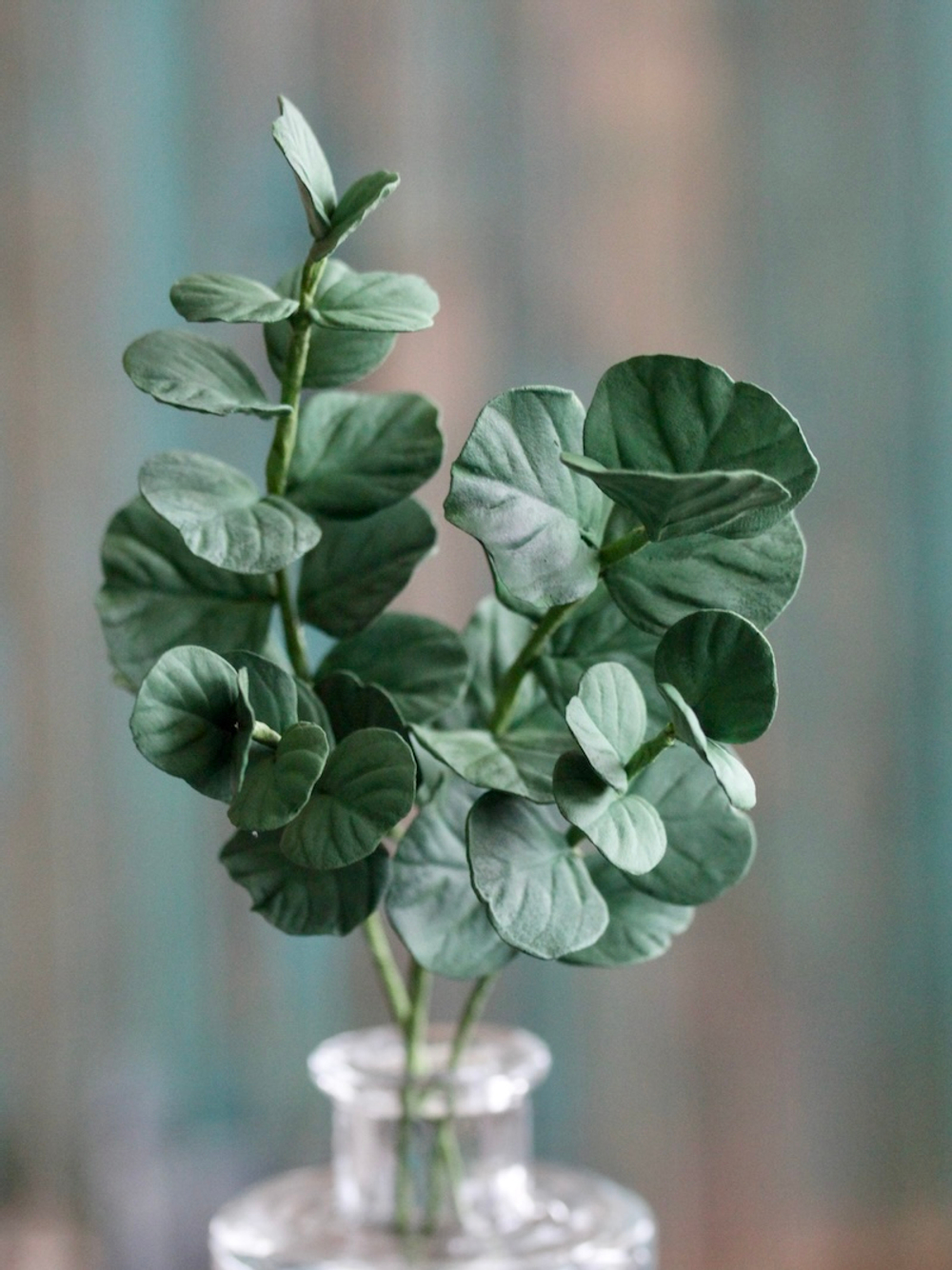 Набор вайнеров для лепки листьев эвкалипта Coprussia