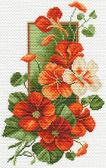 "Настурция"-1600 канва с рисунком