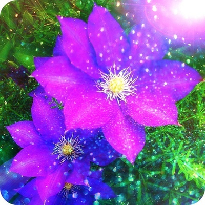 Практический Интенсив 
"Эмоциональная Алхимия". Часть 21