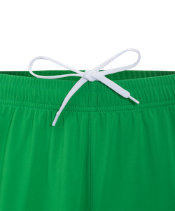 Шорты вратарские JOGEL NATIONAL PerFormDRY GK Shorts, зеленый