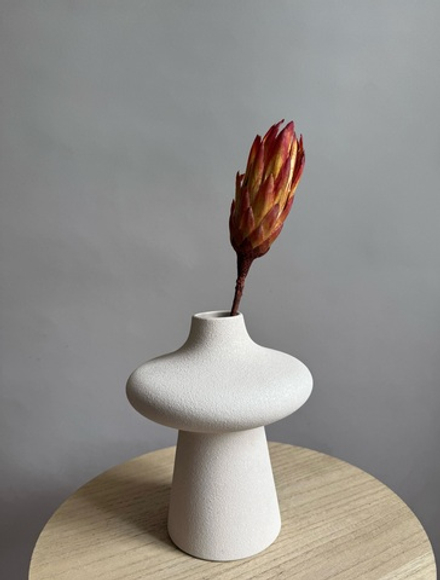 Протея красная