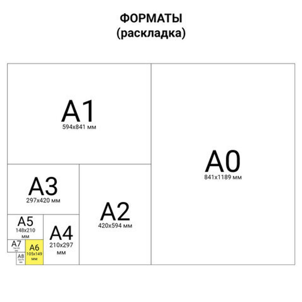 Блокнот МАЛЫЙ ФОРМАТ (110х147 мм) А6, 80 л., твердый переплет, клетка, выборочный лак, BRAUBERG, "Котята", 122192