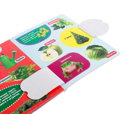 Книжка картонная с окошками «Цвета»