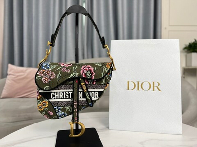 Christian Dior Saddle 25 cm