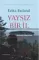 Yaysız bir il