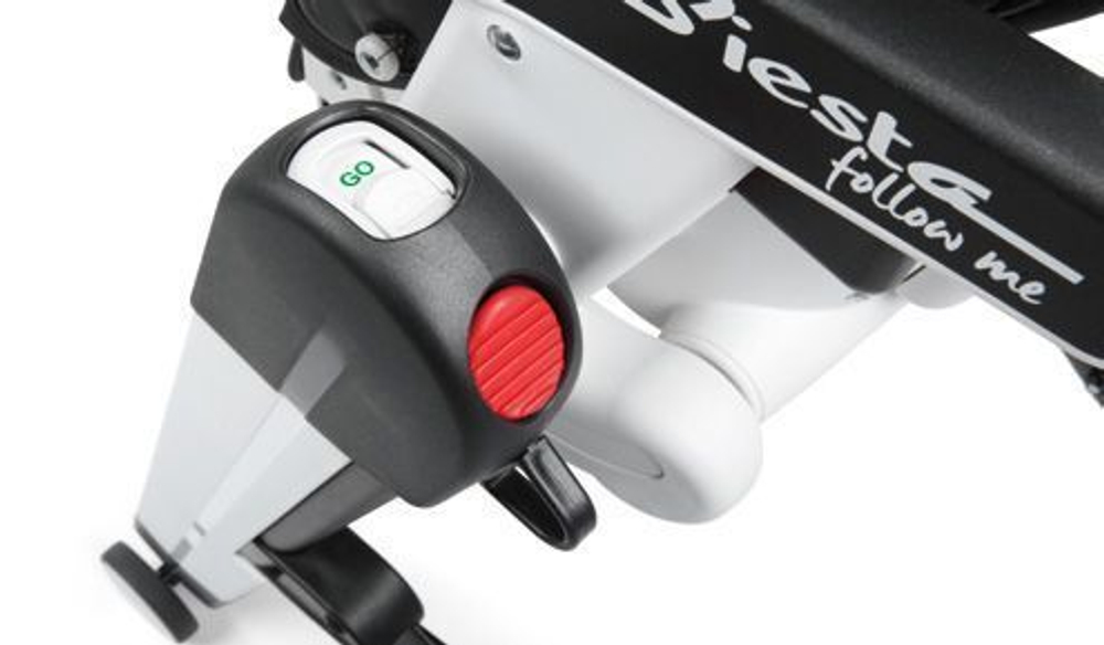 Стульчик для кормления Peg-Perego Siesta Follow Me Berry