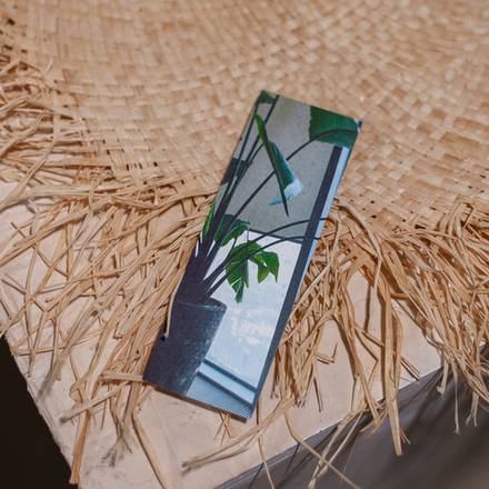 Закладка "Виды" 📚