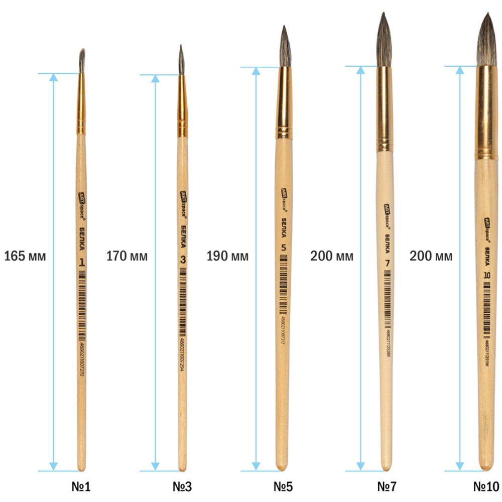 Набор кистей белка, 6шт (1 3 5 7 9 11), в блистере, Спейс