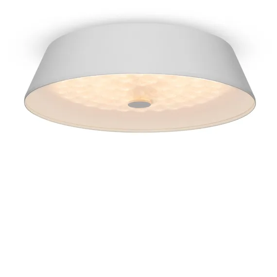 Потолочный светильник FR10013CL-L24W Элементы 24 Вт LED Freya fr10013cl-l24w