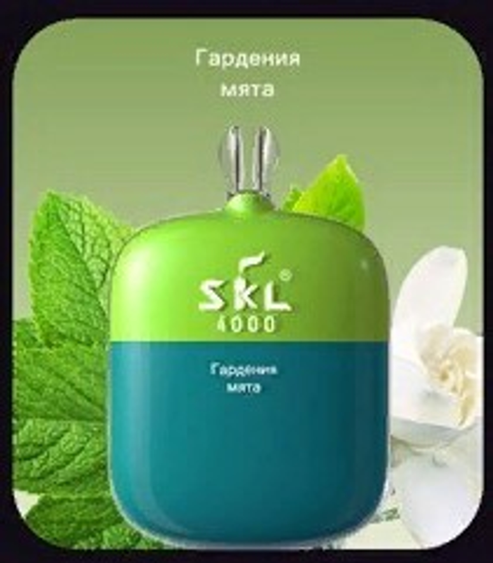 SKL 4000 Гардения мята купить в Москве с доставкой по России