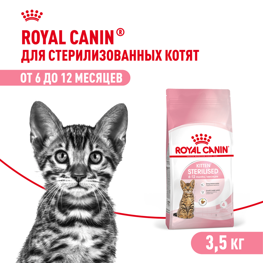 Royal Canin Kitten Sterilised Киттен Стерилайзд Корм сухой для стерилизованных котят с момента операции до 12 месяцев 3,5кг