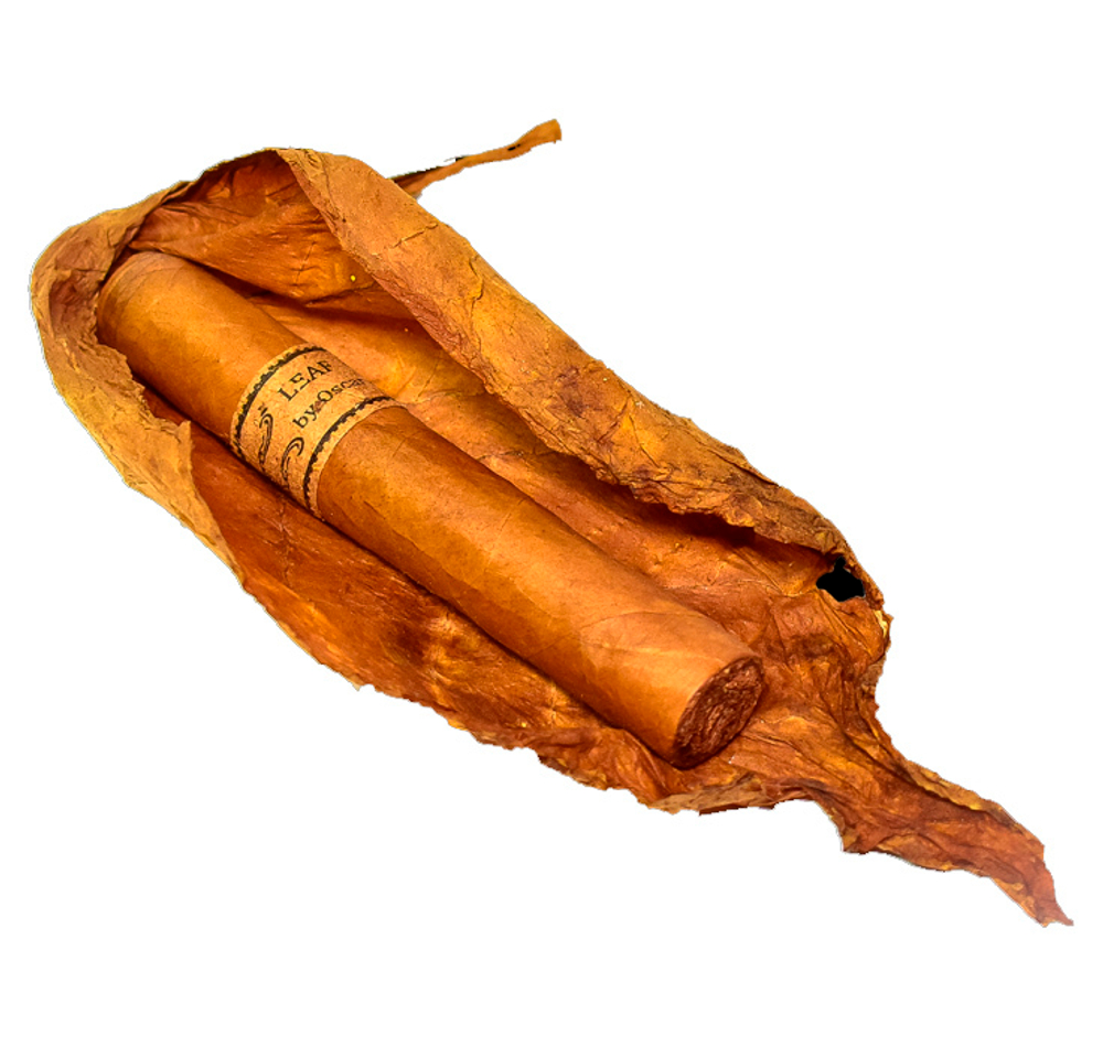 Leaf by Oscar Valladares Connecticut Robusto