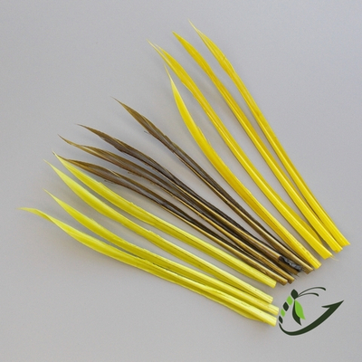 ORVIS Индюшиные биоты Turkey Biots