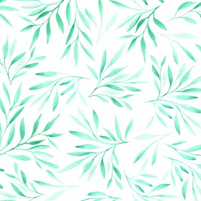 Ива на белом