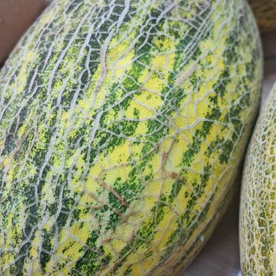 Дыня Карамельная