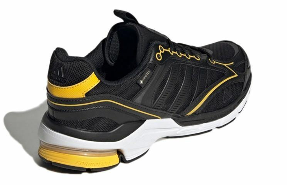 Кроссовки Adidas Spiritain 2000 Gtx