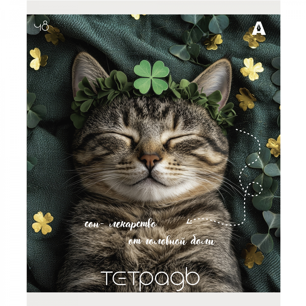 Тетрадь 48л., А5, клетка, Alingar "Кошки", скрепка, мелованый картон ( стандарт), блок офсет, 5 дизайнов в пленке т/у