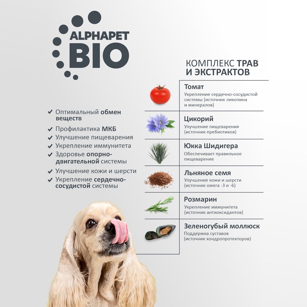 Уценка! Срок 18.05.26/ Сухой корм AlphaPet Superpremium для взрослых собак мелких пород с индейкой и рисом