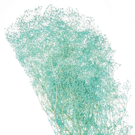 Сухоцвет Гипсофила Бирюзовый