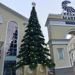 уличная ель ствольная "Таежная"