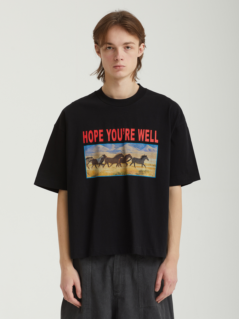 Мужская Футболка Horses