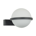 Настенный светодиодный светильник Favourite Ringar 4502-1W