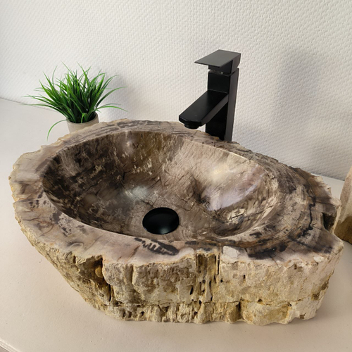 Раковина из окаменелого дерева OD-66070 52х37х15 из натурального камня