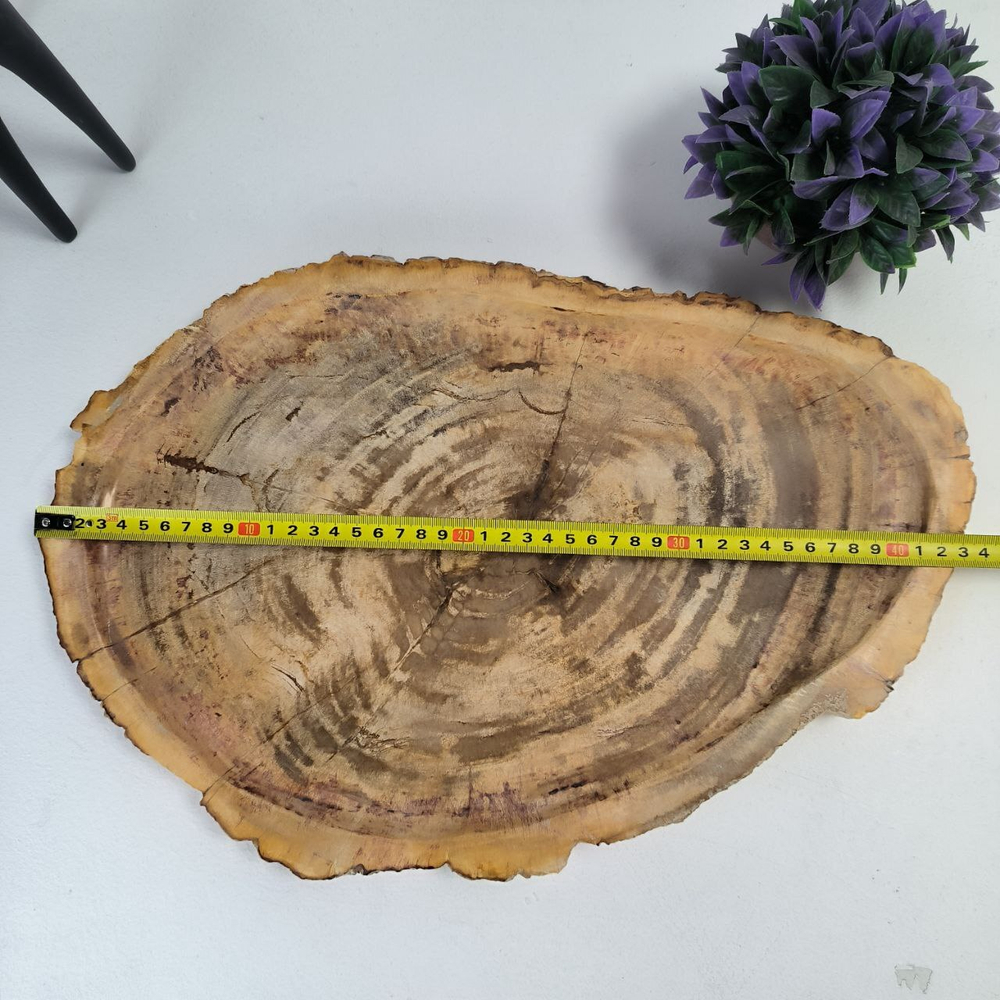 Набор из окаменелого дерева 4 предм Fossil Set NF-63062 поднос 29см*43см