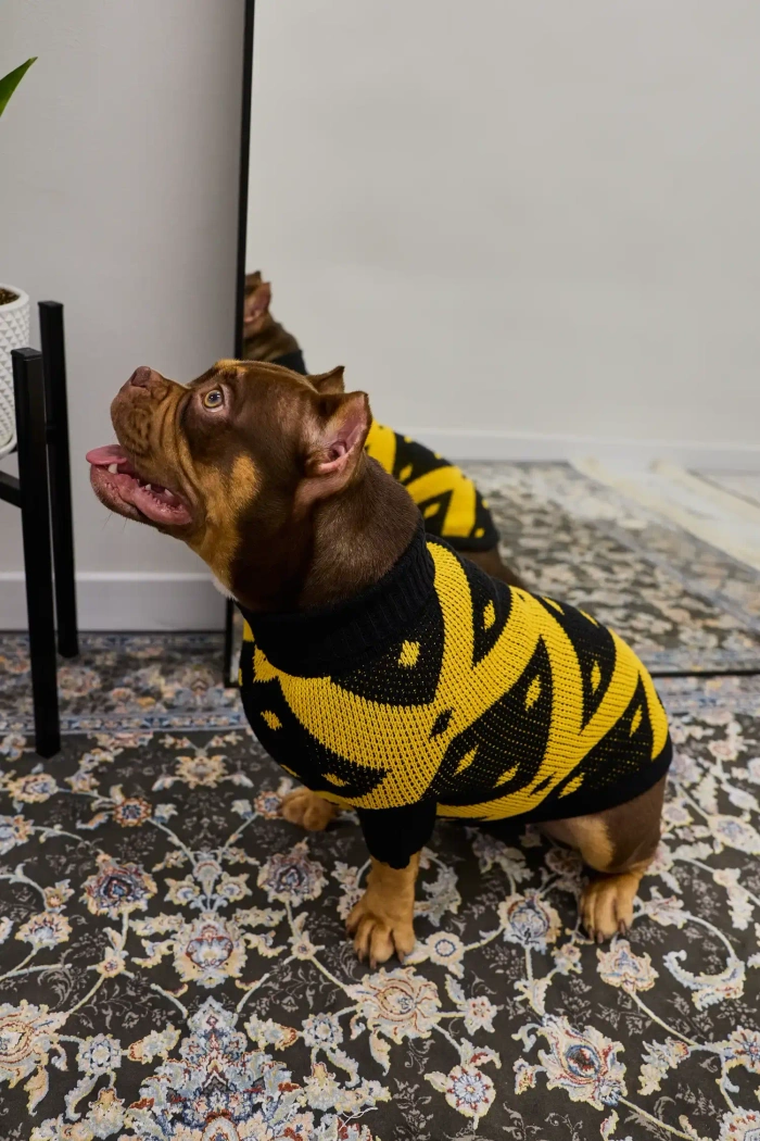 Для собачки