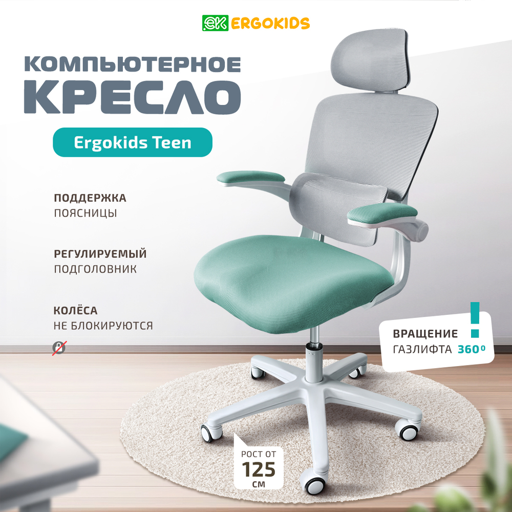 Детское кресло Ergokids Teen (T - 1)